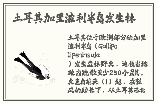 91吃瓜黑料蘑菇视频
